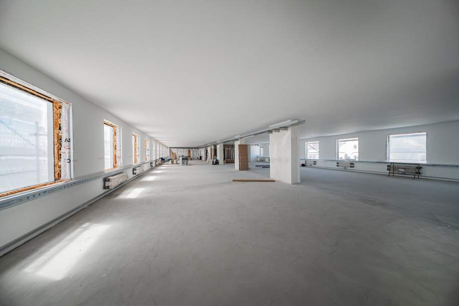 Exklusives Open Space Büro in historischem Ambiente in 1170 zu mieten, Gewerbeobjekt-miete, 10.223,00,€, 1170 Wien 17., Hernals