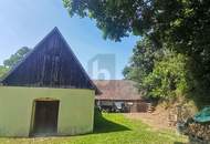 VERTRÄUMTES WINZERHAUS MIT WEINKELLER, SCHUPPEN UND UNEINSICHTIGEM GARTEN