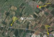 HÖFLEIN - 2000-3000m² Gewerbegrund mit bester Anbindung