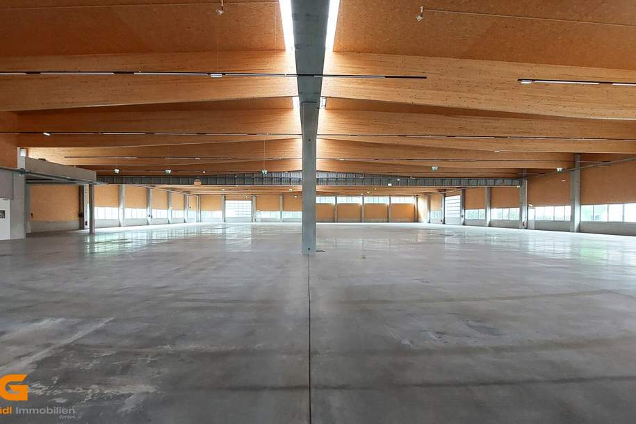 Neue großflächige Gewerbeliegenschaft am südlichen Stadtrand - Baurecht, Gewerbeobjekt-kauf, 5.600.000,€, 5082 Salzburg-Umgebung