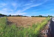 Betriebsgrund in Bergland mit 6.587 m² - Stadtrand Wieselburg - guter Lage