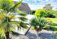 PALMEN, POOL und BARBEQUE