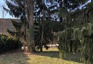 CHRISTOPH CHROMECEK IMMOBILIEN - GIESSHÜBL - Zentral gelegenes Baugrundstück!