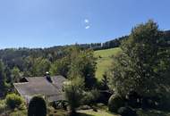 Wunderbares Blockhaus in schönster Grünruhelage! Ab sofort verfügbar!
