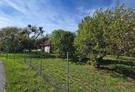 Rarität "Vierkanter" direkt neben dem Golfplatz