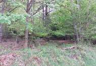 Wald und Wiese mit Hütte