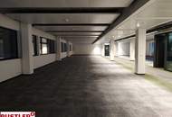 Das myhive Urban Garden Bürokonzept – Ein "Detox-Programm" für den Arbeitsalltag