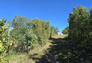 verschlafenes Weinviertler Bauernhaus möchte wachgeküsst werden