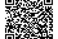 Ideal für eine "WG" - 3- Zimmer Wohnung in der Bischofstraße 3