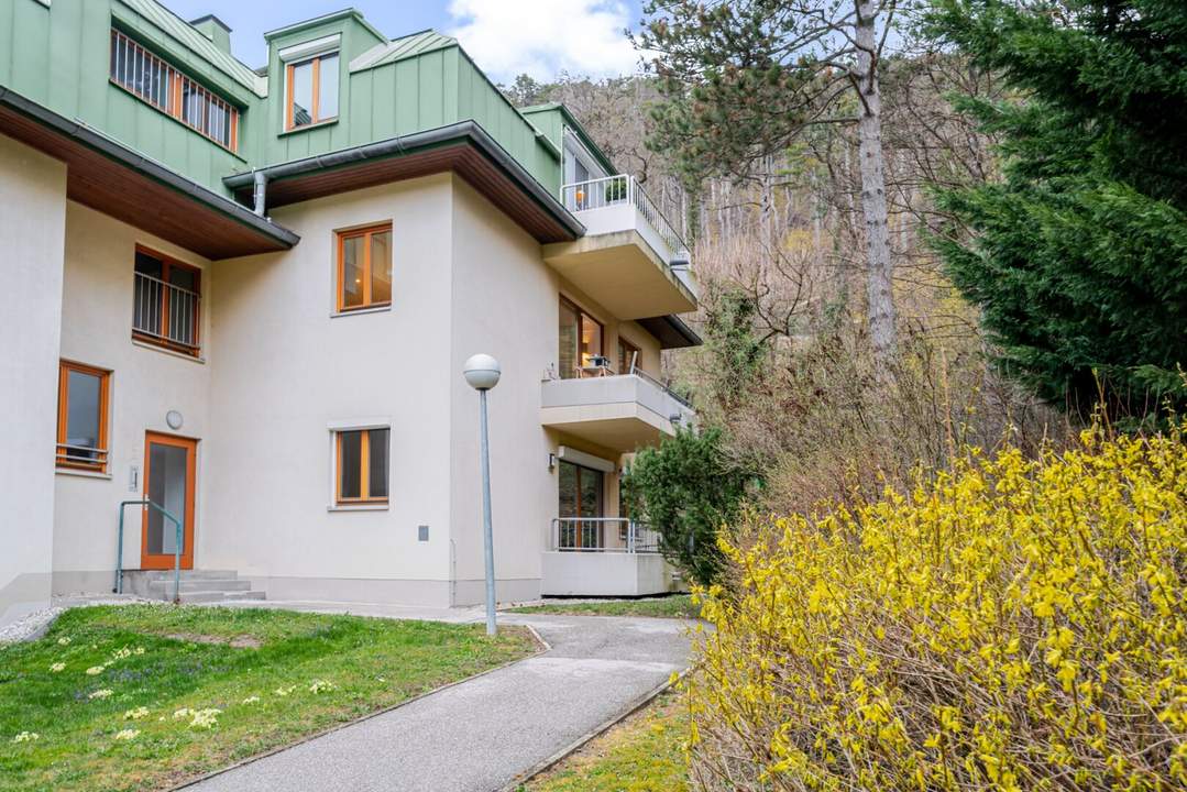 Die Grüne Ruhe – Balkonwohnung mit Parkflair - Top-Grundriss