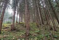 Zusammenhängende, ca. 2,35 ha große Waldfläche in Weitenbach bei Reichenfels im Lavanttal