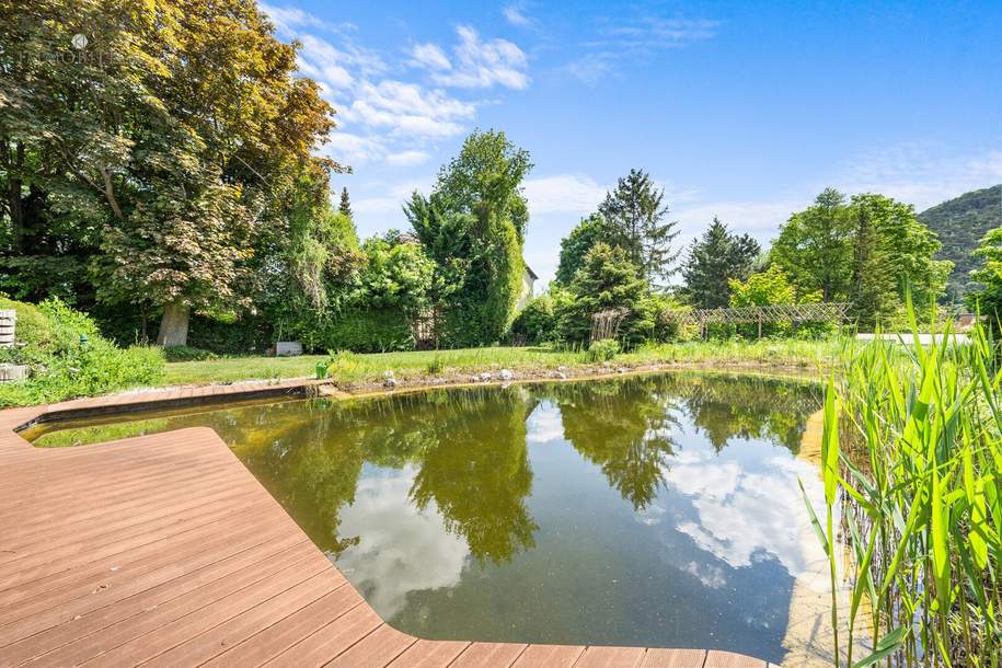 Top Jugendstil-Villa mit Schwimmteich - perfekt für große Familie, für 2 Familien, für wohnen und arbeiten, Haus-kauf, 1.398.000,€, 2560 Baden