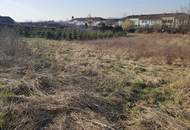 Landwirtschaftliche Flächen &amp; Gutshof