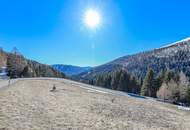 ALM-CHALET 1 - Freizeitwohnsitz in Toplage