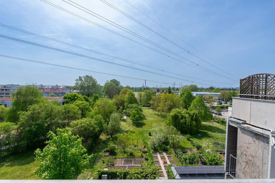 "3 Zimmer Maisonette Wohnung mit 3 Terrassen - Freier Blick ins Grüne", Wohnung-kauf, 399.000,€, 1220 Wien 22., Donaustadt