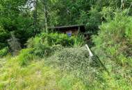 Ruhiges Baugrundstück mitten in der Natur mit eigenem Wald