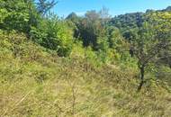 Traumhaftes Baugrundstück in Kranachberg bei Gamlitz – Ihr Platz an der Sonne
