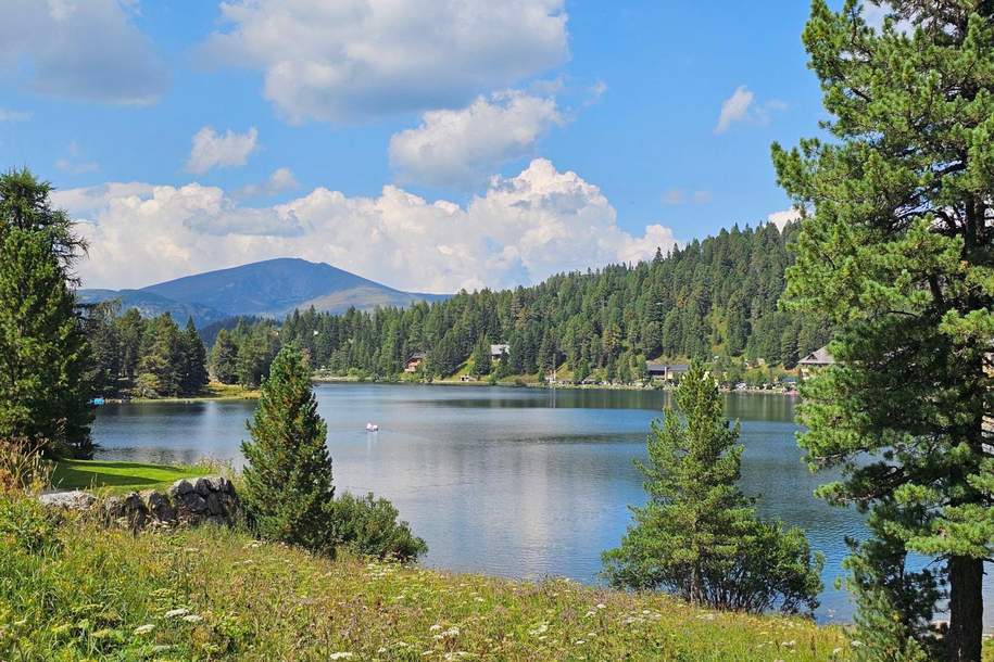 The Austrian Alps - your home away frome home!, Wohnung-kauf, 185.000,€, 8862 Murau