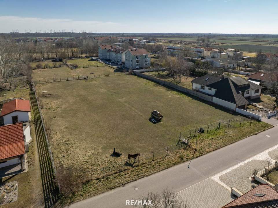 Exklusives Baugrundstück in Gols – Ideales Projektpotenzial für Investoren und Bauträger - zu kaufen!