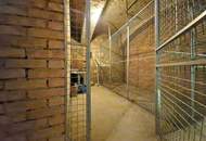 3-Zimmer-Wohnung mit Eigengarten und Balkon bei der Mariahilfer Straße