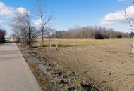 Traumhaftes Baugrundstück in Loimersdorf – 1079 m² für Ihre Zukunft!