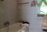 Bungalow mit Donaublick