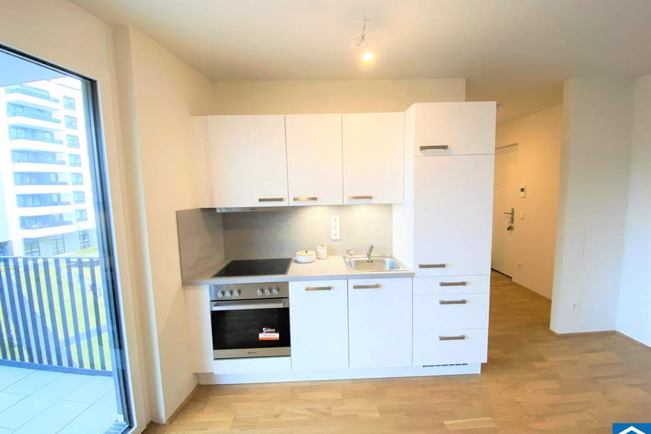 RUHIGER WOHNTRAUM IM TRENDIGEN SONNWENDVIERTEL!, Wohnung-miete, 1.050,01,€, 1100 Wien 10., Favoriten