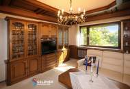 Außergewöhnliches Mehrfamilienhaus mit 331 m² WFL, Balkon, Loggia & 4 Garagen, Pool und Gartenhaus