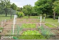 Ist es auch Ihr Traum, eigenes Obst und Gemüse zu ernten?