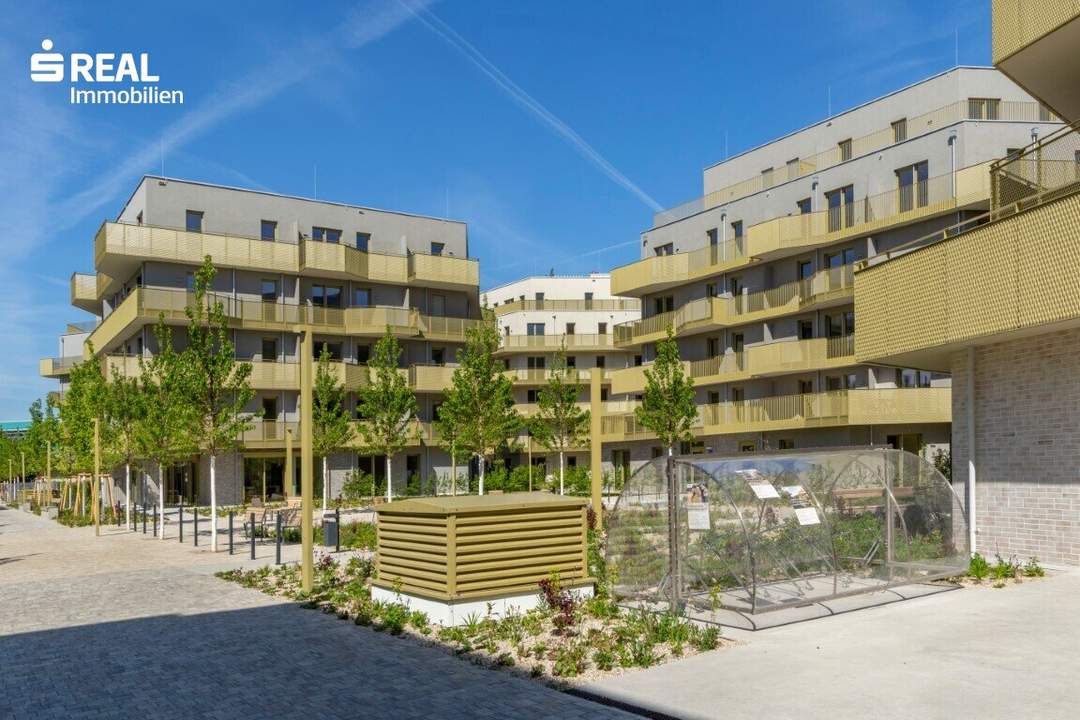 Hirschfeld - Ihr neues Zuhause im Grünen - besichtigen und einziehen