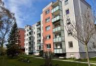 Familienwohnung Leharstraße