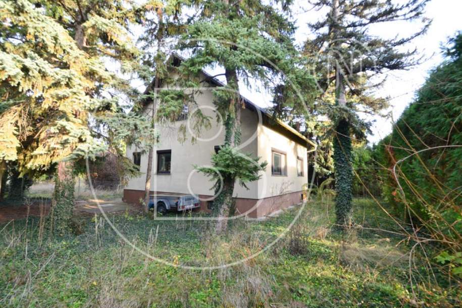 Baugrundstück mit Altbestandsgebäude in ruhiger Wohnlage!, Grund und Boden-kauf, 430.000,€, 1220 Wien 22., Donaustadt