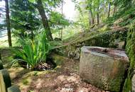 Ruhiges Wohnhaus mit eigenem Wald und Obstgarten!