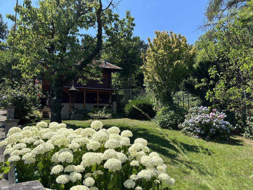 Neustift am Walde + FERNBLICK + RUHELAGE + EIGENGRUND!