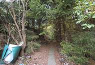 Ein/Zweifamilienhaus * teilweise renoviert * direkt am Wald gelegen * Ruhelage
