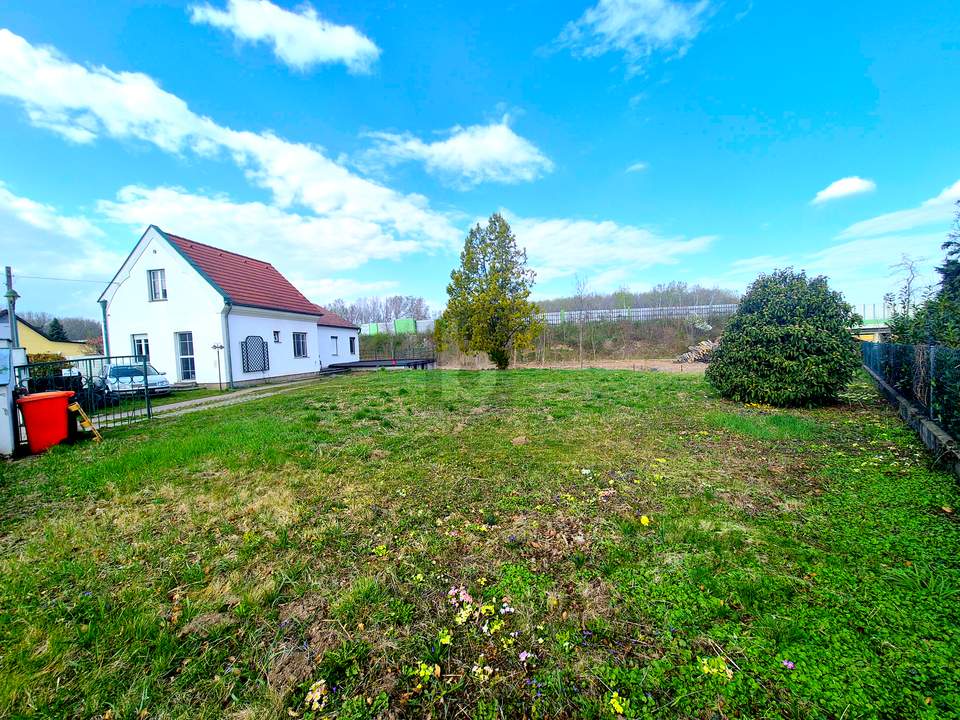 GRÜNBLICK MIT POTENTIAL!