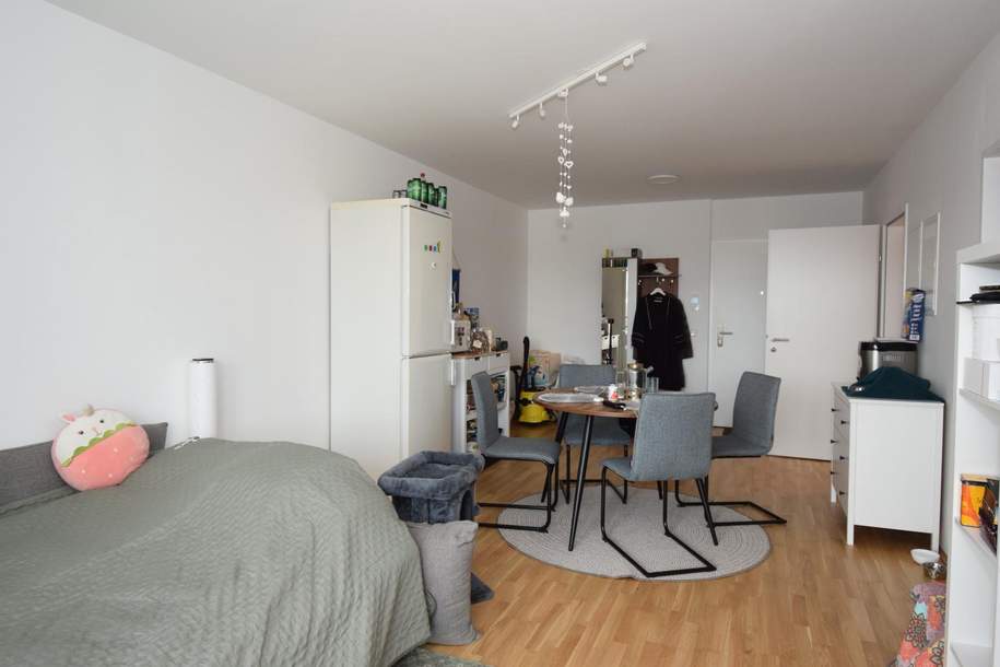 Moderne Anlegerwohnung mit Balkon – vermietet - zentral gelegen, Wohnung-kauf, 178.000,€, 3100 Sankt Pölten(Stadt)