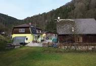 HandwerkerIn gesucht im kleinen Yspertal: liebenswertes Haus unweit von Nöchling