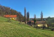 ALLEINLAGE: Sanierungsbedürftiger Vierkanthof mit ca. 17ha Land zu verkaufen