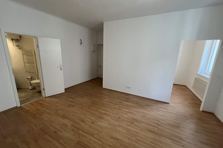 ROTENTURMSTRASSE - KLIMAANLAGE - UNBEFRISTET, Wohnung-miete, 1.305,73,€, 1010 Wien 1., Innere Stadt