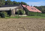 Wohnen, Werken & Selbstversorgen in der Südoststeiermark – Einfamilienhaus mit großem Nebengebäude und 1.497 m² Grund in Straden