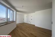 Luxus Penthouse mit sonniger Dachterrasse am Reinlpark | ERSTBEZUG