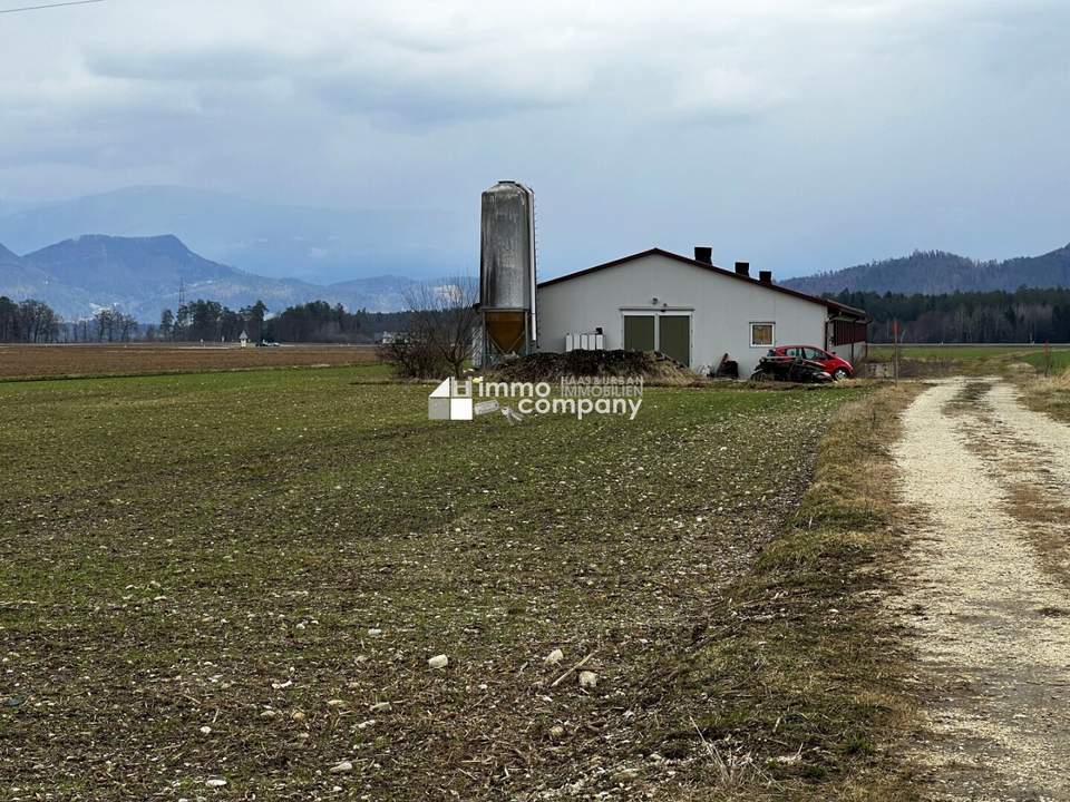 Bauernhof-Träume werden wahr: Großes landwirtschaftliches Areal mit Wirtschaftsgebäude sowie ein Baugrund in idyllischer Lage im Jauntal, Kärnten!