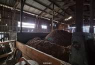 Vierkanter mit großem Innenhof und vielseitigen Nutzungsmöglichkeiten in Buttendorf