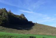 Wiesen, Weiden und Wald