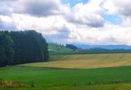 Idylle PUR! Kein Trubel - nur NATUR!