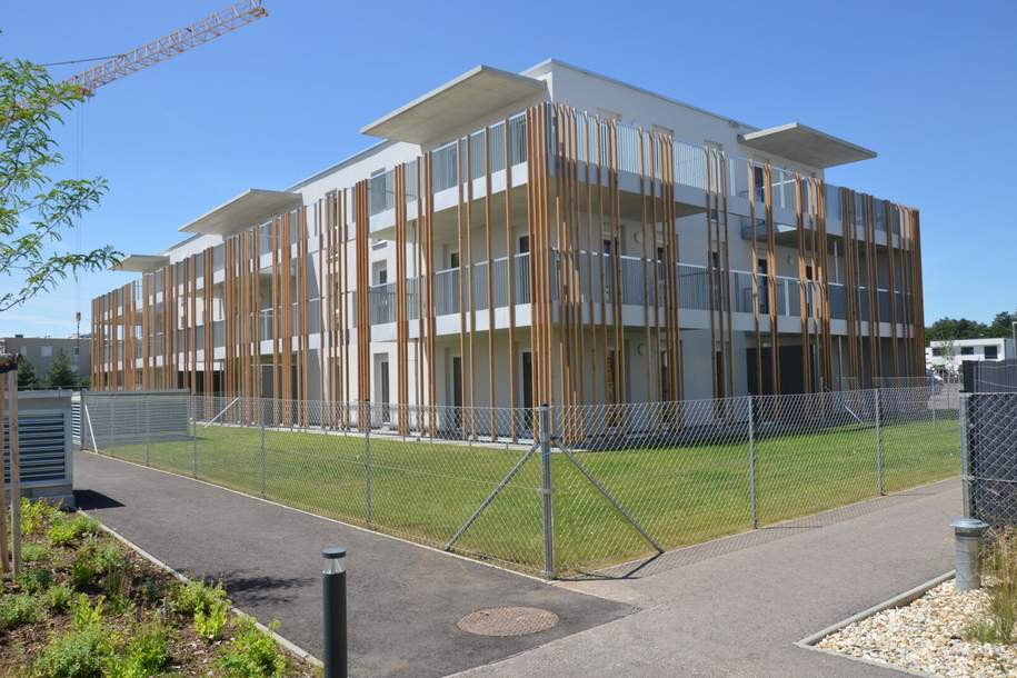 2 Zimmer Pärchentraum in Strasshof, Wohnung-miete, 525,51,€, 2231 Gänserndorf