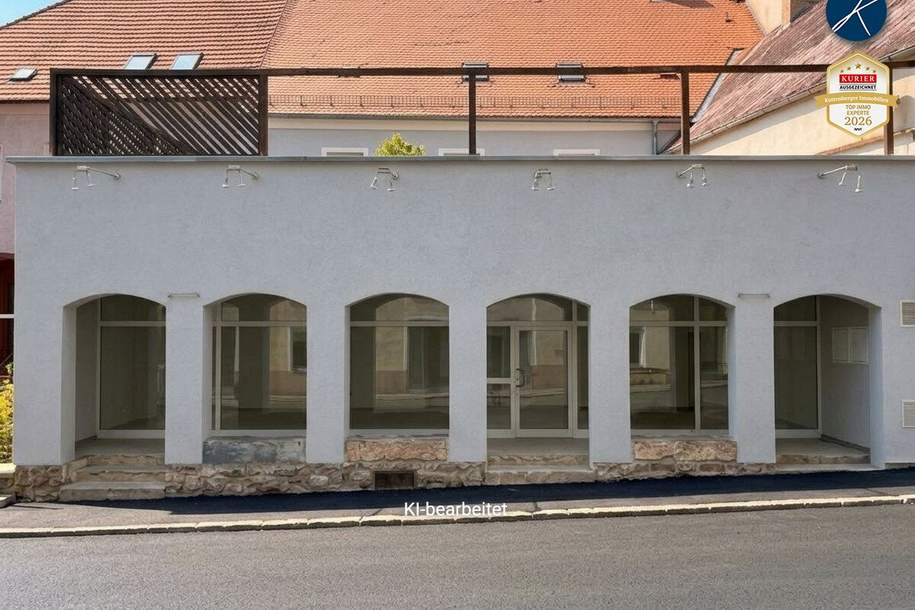 Im Zentrum: Geschäftslokal / Lager, Gewerbeobjekt-miete, 1.350,00,€, 3500 Krems an der Donau(Stadt)