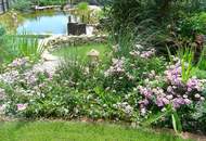 ARBEITEN UND WOHNEN UNTER EINEM DACH! 900 m² WOHN-NUTZFLÄCHE! WOHN- UND GESCHÄFTSHAUS NAHE WIEN!