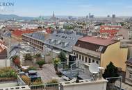 *** Luxus-Penthouse *** Dachterrasse mit 360° Rundblick